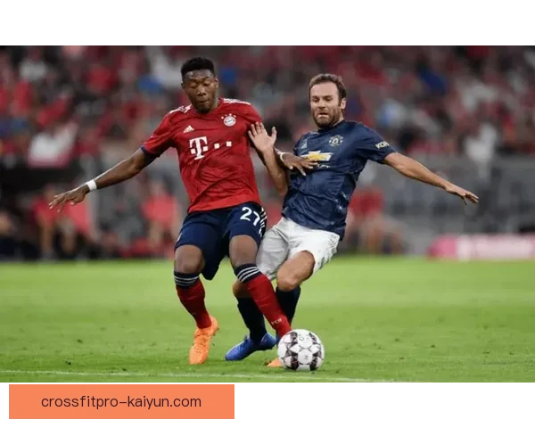 足球主场战绩分析：各队表现稳健，主场优势明显